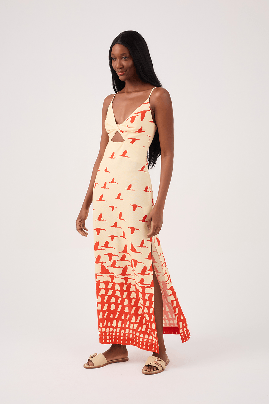 Guar¨¢s Print Linen Midi Dress