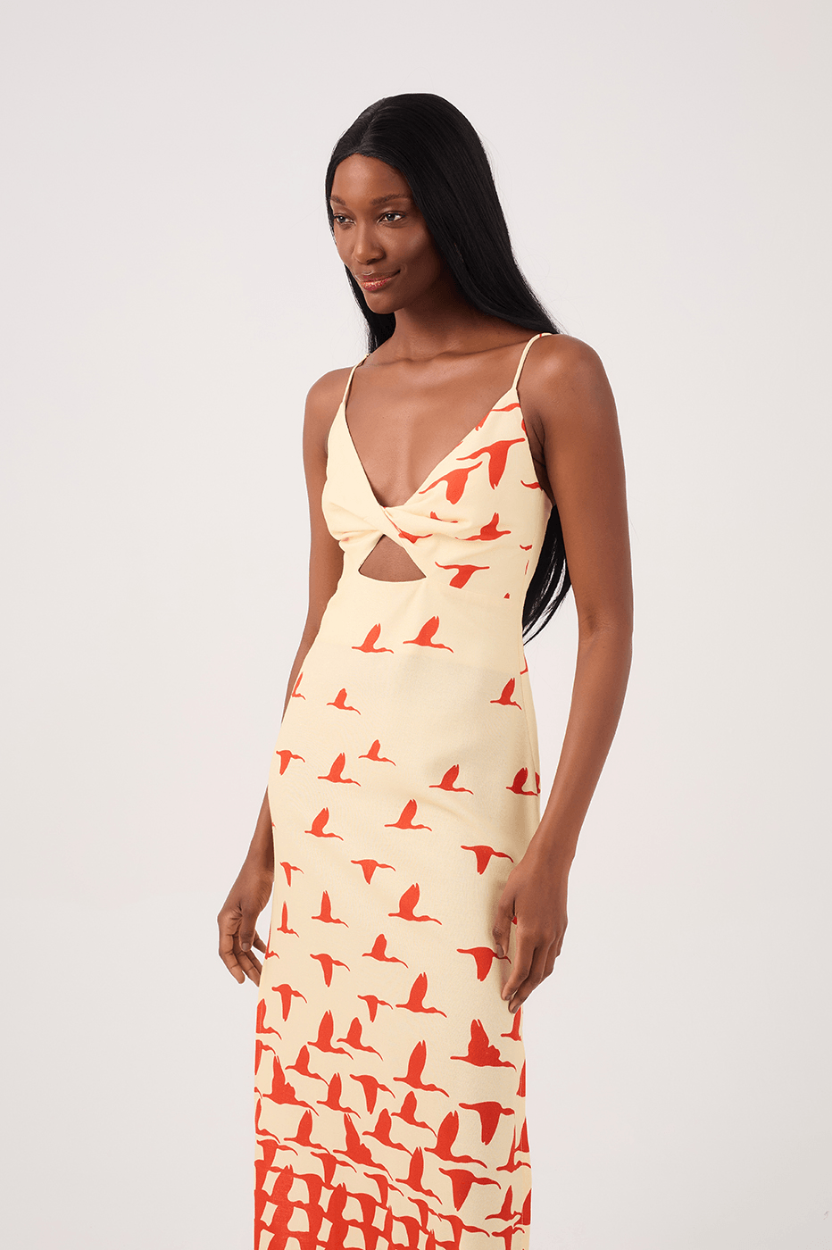 Guar¨¢s Print Linen Midi Dress