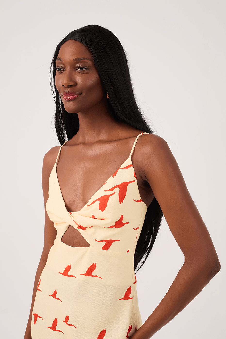 Guar¨¢s Print Linen Midi Dress