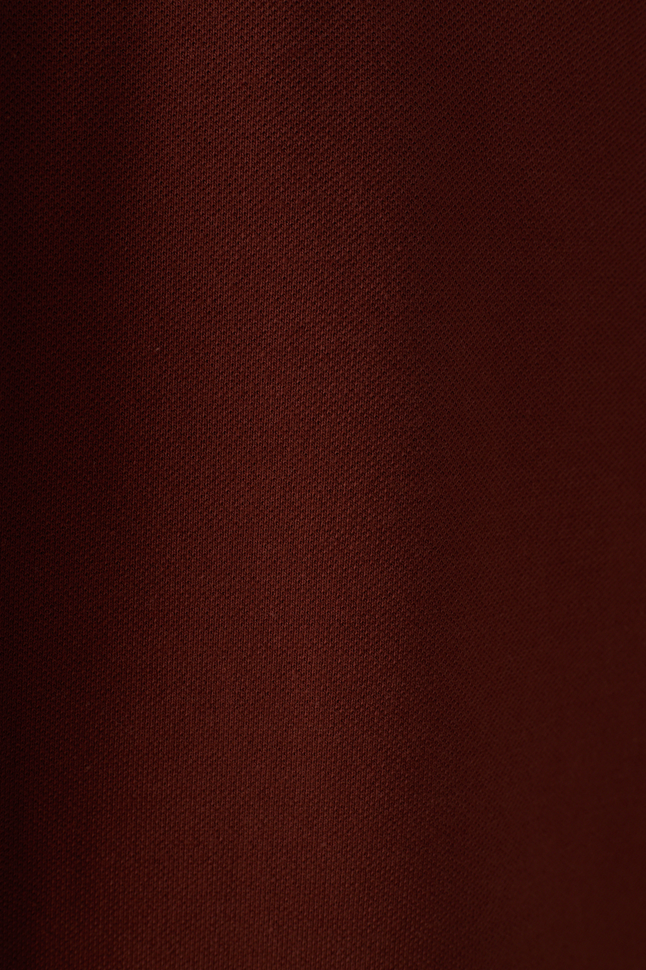 Brown Embroidered Buttoned Polo Shirt