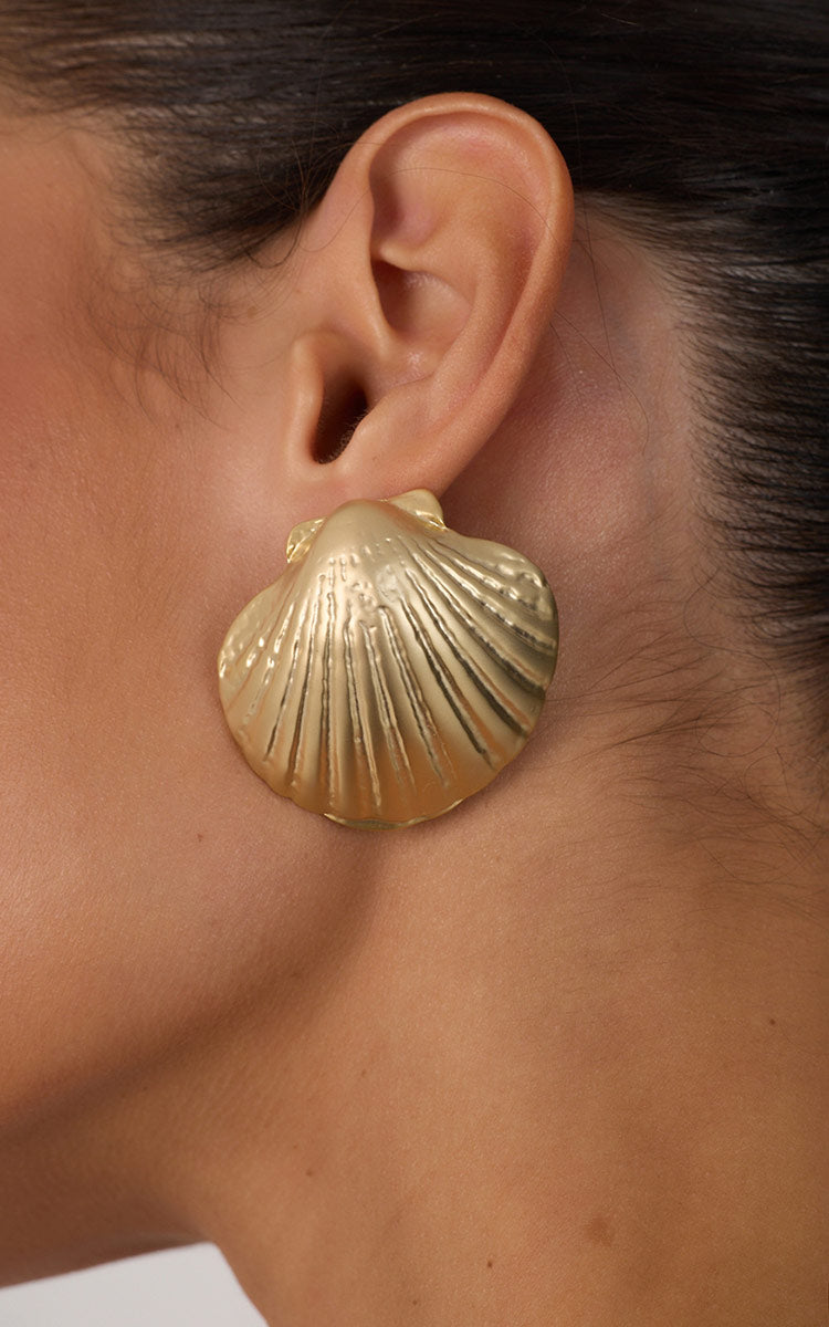 Scallop Shell Earrings